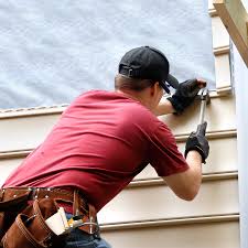 Best Siding Painting and Refinishing  in Palmview, TX